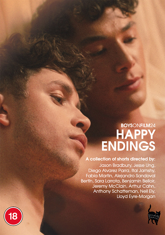 BOYS ON FILM 24: HAPPY ENDINGS (DVD)