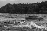 EMBRACE OF THE SERPENT DVD