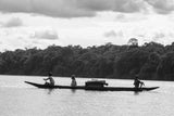 EMBRACE OF THE SERPENT BLU-RAY